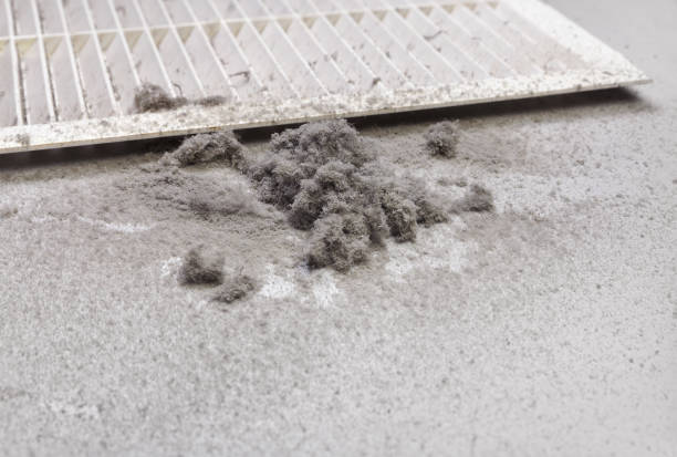 Best Air Vent Cleaning Services  in Corpus Christi, TX