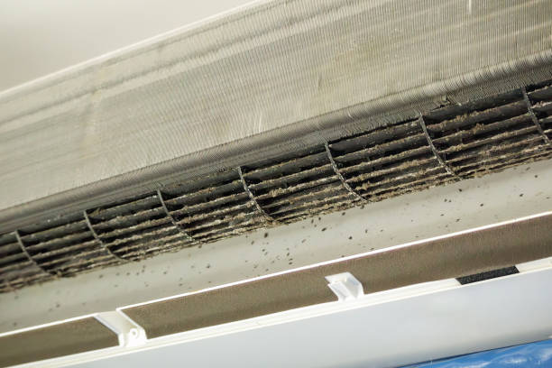 Best Ventilation Cleaning Services  in Corpus Christi, TX