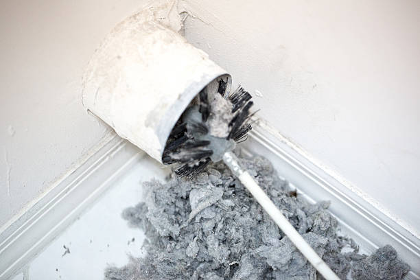 Best Air Duct Cleaning Near Me  in Corpus Christi, TX